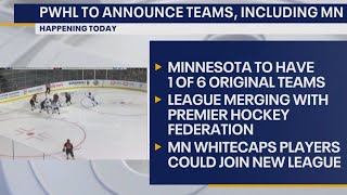 Minnesota to get professional women's hockey team