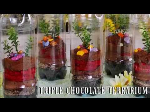 Triple Chocolate Terrarium Dessert Triple Chocolate Terrarium Dessert