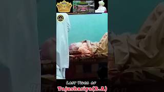 Tajushariya R.A Last Video_Mufti Akhtar Raza Azhari Miyan#tajushshariah#azharimiyan #bareilly#status