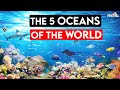 The five oceans of the world || Learn all about world largest water bodies - 5 Oceans for kids