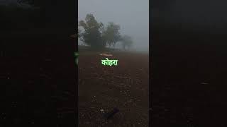 कोहरा fog #shorts #fog #kohra #nature #shortsfeed #viral #trending