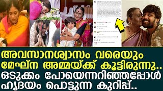 അവസാനശ്വാസം വരെ മേഘ്ന കൂട്ടിരുന്നു.. ഒടുക്കം ഹൃദയം പൊട്ടുന്ന കുറിപ്പ്.. l Meghana Raj l Cheeru