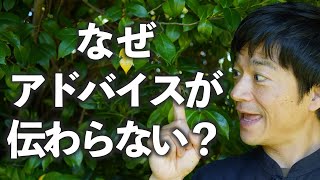 【なぜ、アドバイスが伝わらない？】アドバイスをしても分かってくれず、腹を立ててしまう時は〇〇〜自分自身と向き合う「ひとり時間」〜お茶を飲み、季節を感じながら、ゆっくりと心に耳を傾けませんか？