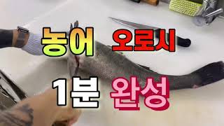 [농어] 오로시 1분 완성 sea bass 🔪