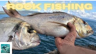 Rock fishing Gilhead Bream and Dentex