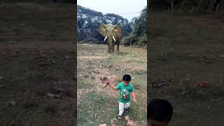 Elephant and little aanvi 🐘😱 #trending #elephant #trendingshorts #trendingvideo #trendingsong