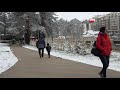 Aprilski sneg Zlatibor