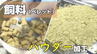 【粉砕テスト】飼料（ペレット状）を卓上粉砕機で粉砕した結果（ハイスピードミル）