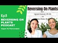 Podcast Ep 3 Vegan vs Plant Based- What's best for Reversing Diabetes?