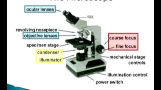 Chapter 3 Microscopy