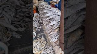 dry fishes|endu chepalu