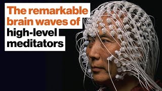 Superhumans: The remarkable brain waves of high-level meditators | Daniel Goleman | Big Think