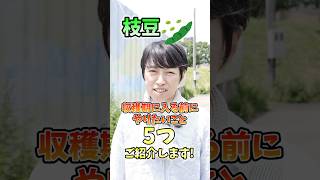 家庭菜園や農園の枝豆栽培で収穫に入る前にやること5つ！乾燥や病害虫の予防の秘訣と枝豆の育て方！【農家直伝】 #shorts