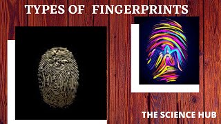 Types of fingerprints | fingerprint patterns