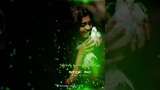 மாலையில் யாரோ மனதோடு பேச ii lyrics video