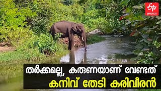 പുഴ കടക്കാനാകാതെ രോഗബാധിതനായ കാട്ടാന; രക്ഷാപ്രവർത്തനത്തിൽ കൊമ്പുകോർത്ത് കേരളവും തമിഴ്‌നാടും