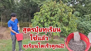 สูตรปุ๋ยเร่งโต​ ทุเรียนโตเร็วคูณ2