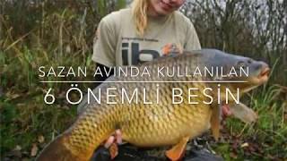 SAZAN BALIĞI AVINDA KULLANILAN 6 YEM CARP FOOD