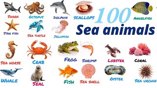 100 Sea animals|| Water animals name with pictures||Aquatic animals vocabulary || ocean animals kids