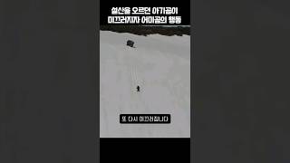 설산 오르던 아기곰이 미끄러지자 어미곰의 행동