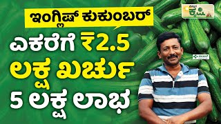 ಎಕರೆಗೆ 2.5 ರೂ ಲಕ್ಷ ಖರ್ಚು 5ಲಕ್ಷ ಲಾಭ | European Cucumber Farming In Kannada | ಯುರೋಪಿಯನ್ ಸೌತೆಕಾಯಿ