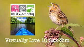 Virtually Live 10: Birding the Sax-Zim Bog with Sparky August 4 2020