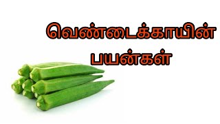 வெண்டைக்காயின் பயன்கள் | by Dr Anita | vendaikayin payangal | lady finger benefits  | Anita's clips