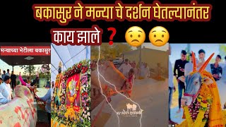 | ghoda |बकासुर ने मन्या चे दर्शन घेतल्यानंतर काय झाले❓#bailrace #viral #horse #bullock #horsetypes