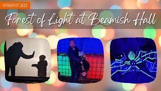 Forest of Light at Beamish Hall - Vlogmas 2022