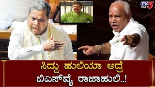 ಮತ್ತೆ ಲಾಯರ್ ​ಗಿರಿಗೆ Siddaramaiah ಅರ್ಜಿ | R Ashok | BS Yeddyurappa | TV5 Kannada