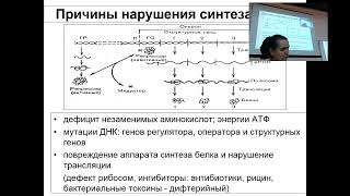 Причины белковой недостаточности и ее последствия. Prof. Maksbvjch N.Ye.