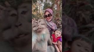 Moana Imut, Moana Bareng MonKey....