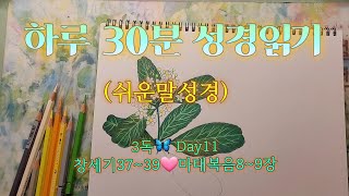 매일 성경 읽기 | 구약24분🦋신약6분 |11일차 |창세기🩷마태복음 | 말씀으로 하루를 삽니다💌