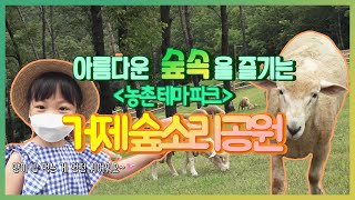 [숏클립] 아름다운 숲속을 즐기는 거제 숲소리 공원! (2020.07.01, 금요일)