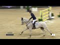 daniel deusser u0026 cornet d amour longines masters hk 2018 jumping competition 1.60m