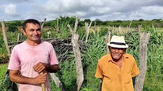 baú do sertão mamoeiro com seu Pedro Jacó e Cícero Rufino dos santos no roçado.