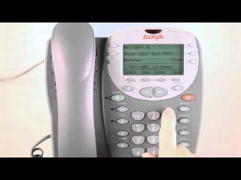 Telephone & Voicemail Services: How to label a button on an Avaya 2400 series phone set Telephone & Voicemail Services: How to label a button on an Avaya 2400 series phone set