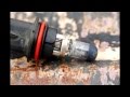 12V Headlamp Bulb Plugged Into 120 Volt (Wall Outlet) Power 12V Headlamp Bulb Plugged Into 120 Volt (Wall Outlet) Power