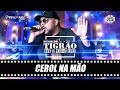 Bonde do Tigrão - Cerol na Mão [DVD O Baile Todo]