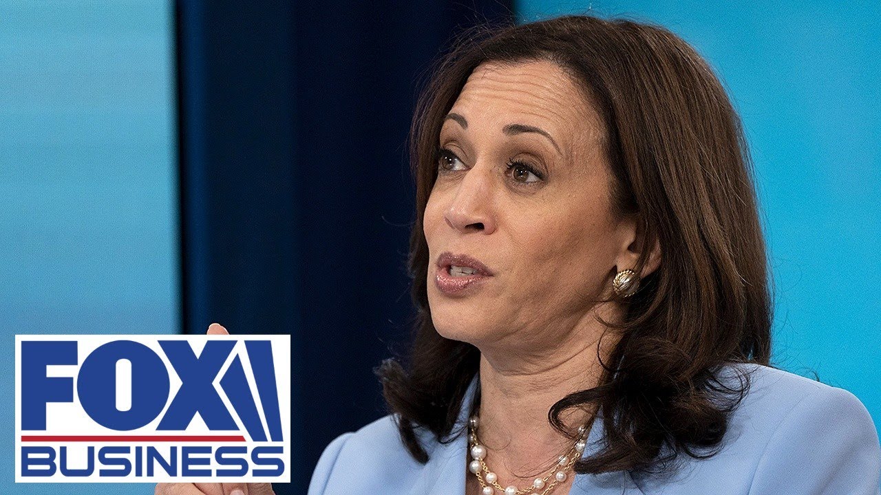 Rep. Malliotakis on VP Harris: 'Outrageous' to give her this responsibility