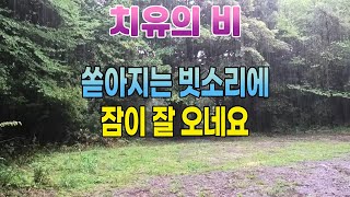 쏟아지는 빗소리는 깊은잠에 도움을 줍니다/ 불면증과 이명 치료를 위한 빗소리 백색소음