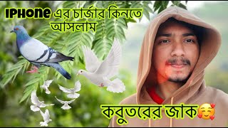 iphone এর চার্জার কিনতে আসলাম । কবুতরের জাক আকাশে ওরতাছে 🇸🇦