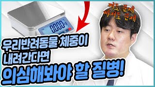 우리 반려동물 체중이 내간다면 이걸 의심해보요! [우리동네수의사]