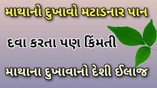 માથાનો દુખાવો મટાડનાર આ પાન દવા કરતા પણ કિંમતી || માથાના દુખાવા નો ઈલાજ || head pain treatment