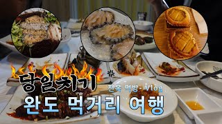 [ 여행 vlog ] 전복코스요리 먹으러 완도 당일치기 미션임파서블! ( 전복 코스 요리, 완도타워, 다도해 일출공원, 전복빵, 장보고빵 )