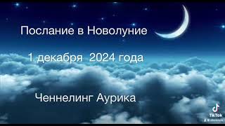 Ченнелинг❗️Новолуние 1 декабря 2024 года #прогноз #аурика