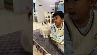 忙完回家看到猫咪帮我带孩子睡觉，觉得好暖心，人也不过如此 #猫咪带娃 #记录猫咪日常