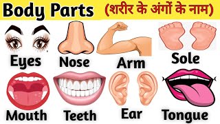 शरीर के अंगों के नाम | Body Parts Name | Psrts of Body Name Hindi and English | Human Body Parts