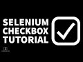 How to Handle Checkbox (Tutorial) | Selenium + Java