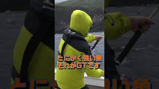 日本にもこんな魚が居るの！？強い・デカい！これがGT（ロウニンアジ）釣り！ #サンライン #shorts #大物釣り